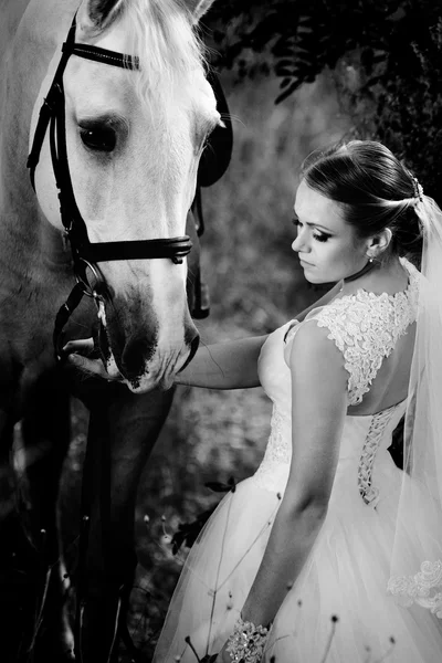 Bruiloft. Bruid en witte paard — Stockfoto