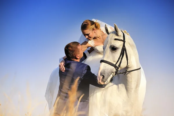 Casamento. Noiva e noivo com cavalo branco no campo — Fotografia de Stock
