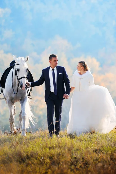 Bruiloft. Bruid en bruidegom met witte paard in veld — Stockfoto