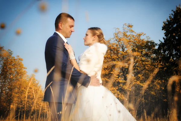 Bruiloft. Bruid en bruidegom op herfst bos — Stockfoto