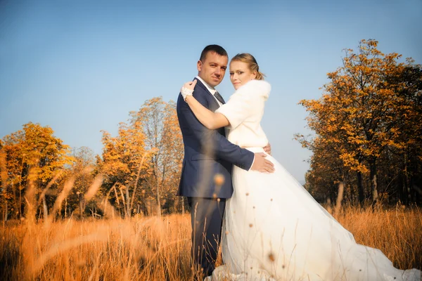 Bruiloft. Bruid en bruidegom op herfst bos — Stockfoto