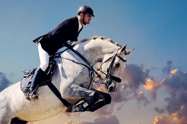 Rider på bay häst i hoppning, show — Stockfoto