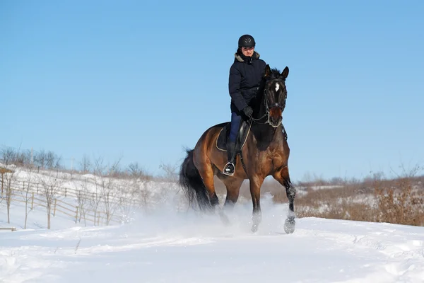 Horseback riding in winter field — Stock Photo, Image