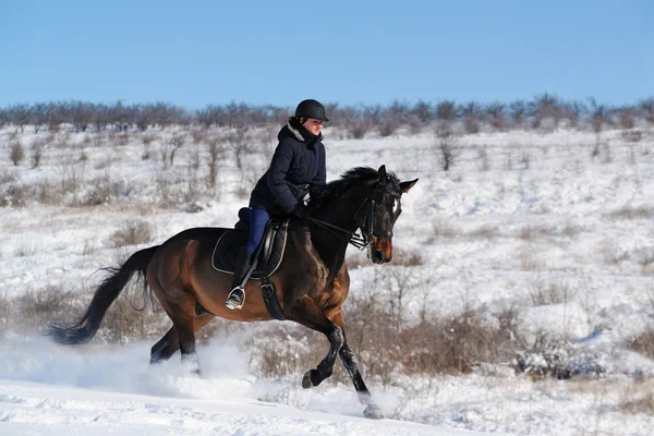 Horseback riding in winter field — Stock Photo, Image