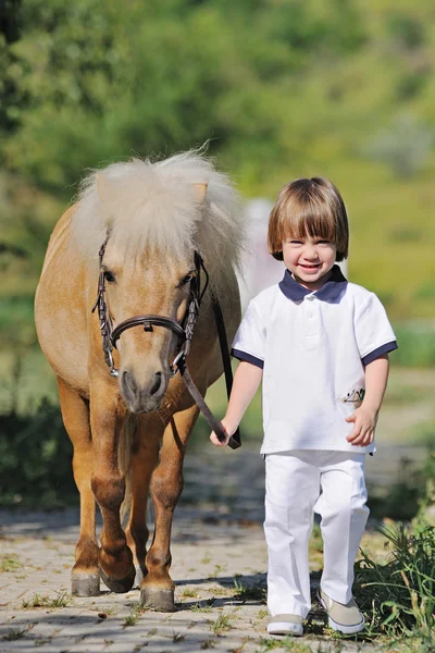 Prime lezioni di equitazione — Foto Stock