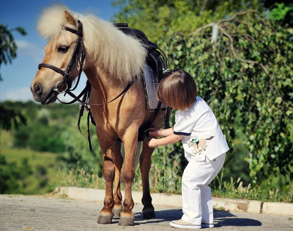 First lessons of horseback riding — Stock Photo, Image