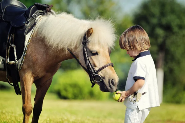 Pequeño niño alimenta pony con manzana —  Fotos de Stock