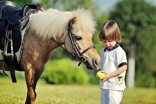 Liten pojke feeds ponny med äpple — Stockfoto