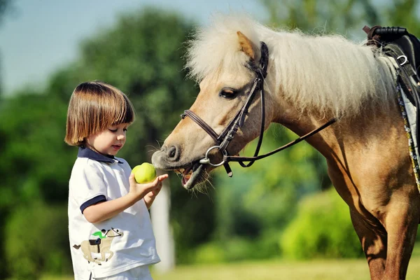 Petit garçon nourrit poney avec pomme — Photo