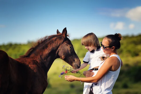 Madre e figlio nutrono cavallo — Foto Stock