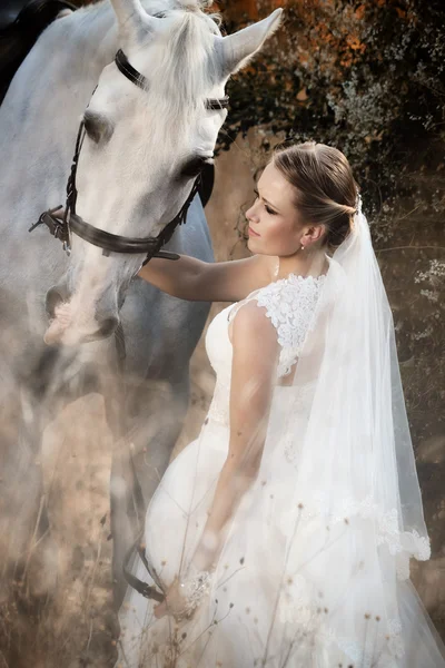 Mariage. Mariée et cheval blanc Images De Stock Libres De Droits