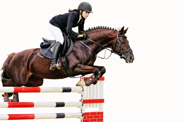 Equestrianesimo: Giovane ragazza in salto spettacolo, isolata su sfondo bianco — Foto Stock