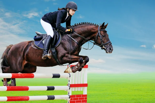 Equestrianesimo: Giovane ragazza nello spettacolo di salto — Foto Stock