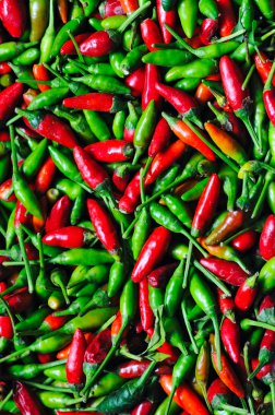 Kırmızı ve yeşil biber arka plan