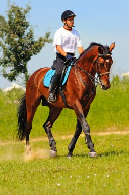 Sürücü alanında defne sportif at üzerinde