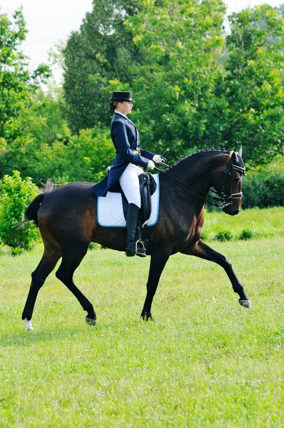 Prova di Dressage avanzata: trotto raccolto — Foto Stock