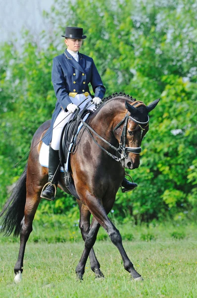 Prova di Dressage avanzata: trotto raccolto — Foto Stock