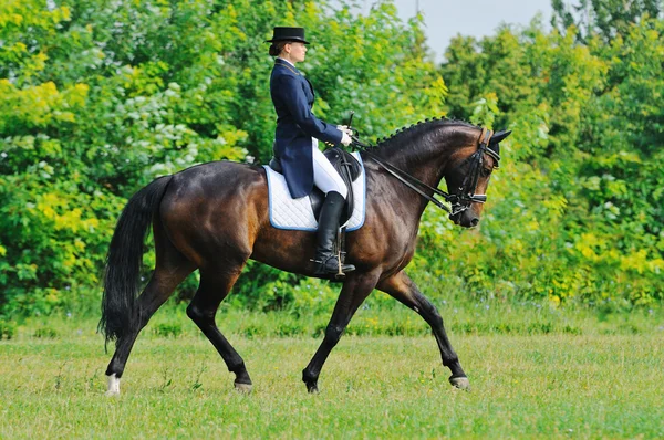 Terbiye testi Gelişmiş: toplanan tırıs