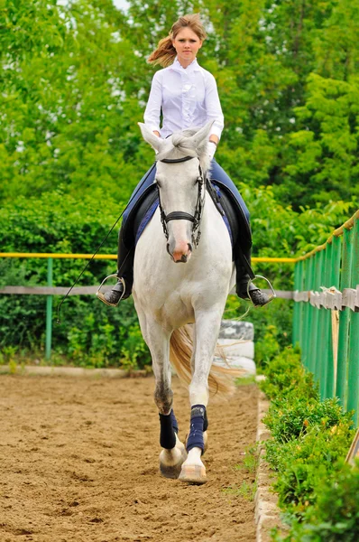 Fille sur cheval de dressage blanc — Photo