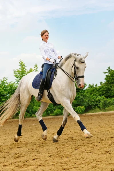 Девушка на белой выездной лошади — стоковое фото