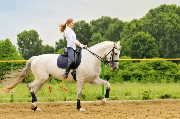 Meisje op witte dressuurpaard — Stockfoto