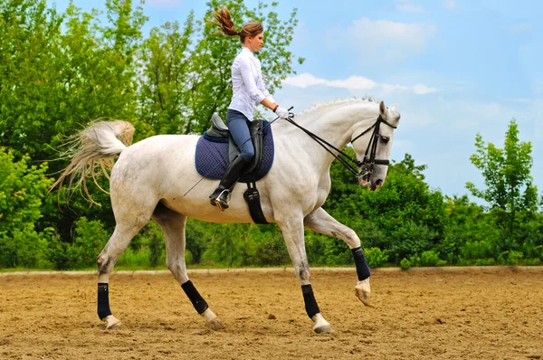 Girl on white dressage horse — Stock Photo, Image