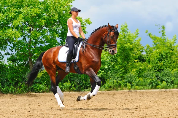 Girl on bay dressage stallion — Stock Photo, Image