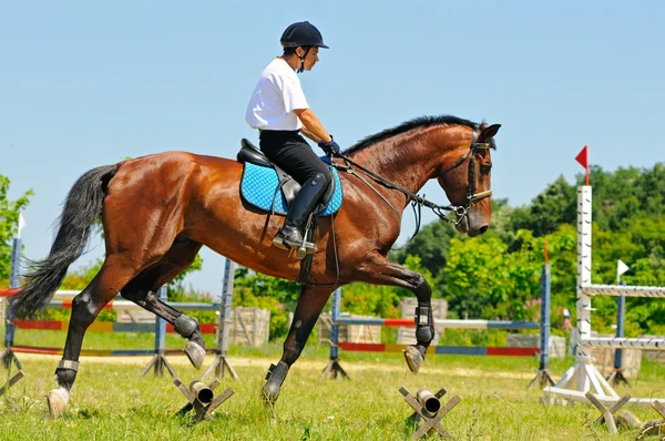 Cavaleiro na baía cavalo esportivo no campo — Fotografia de Stock