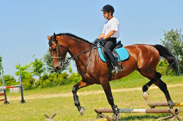 Cavaletti travail- la scolarisation des chevaux — Photo
