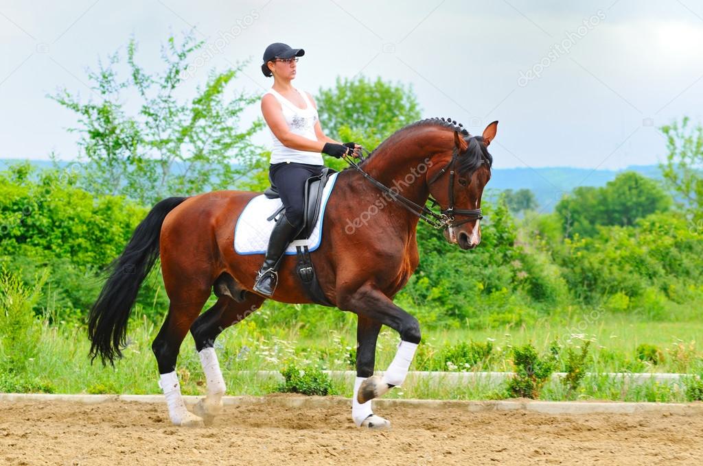 Girl on bay dressage stallion