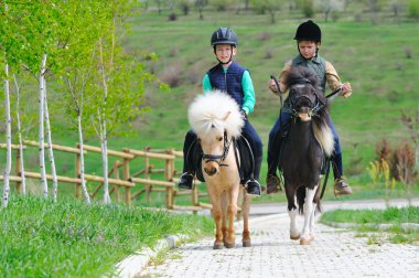 Midilli ile iki erkek