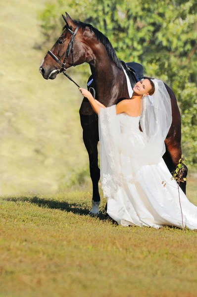말과 함께 아름 다운 신부 초상화 — 스톡 사진