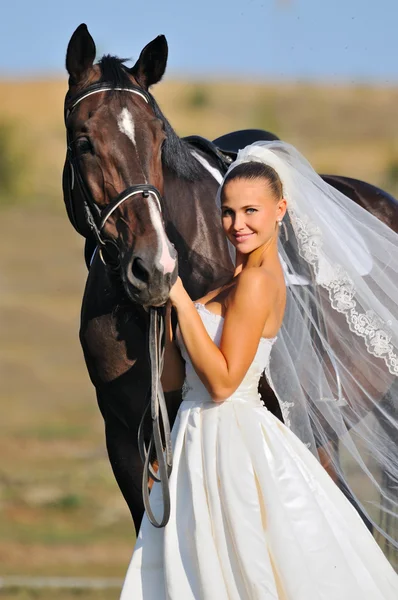 Portrait of beautiful bride with horse — Stock Photo, Image