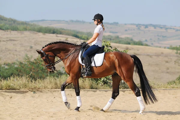 Equitazione: cavaliere sulla baia dressage cavallo, a piedi — Foto Stock