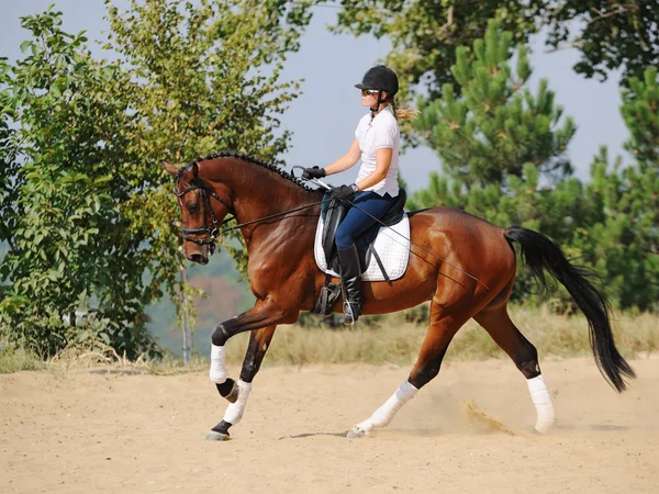 Equitazione: cavaliere a cavallo dressage baia, andare al galoppo — Foto Stock