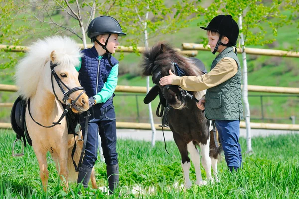 Midilli ile iki erkek