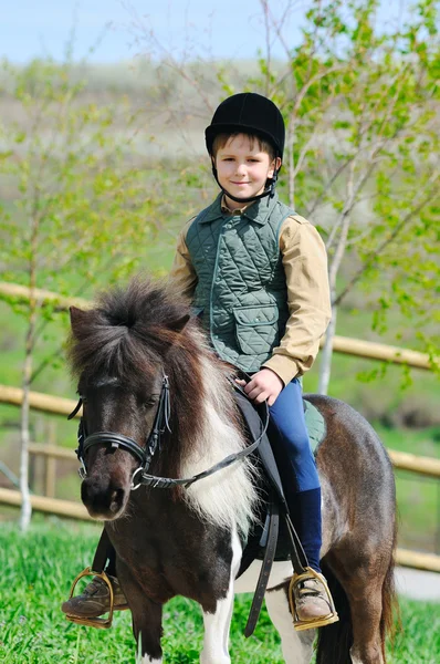 Хлопчик і його Шетландськіє поні — стокове фото