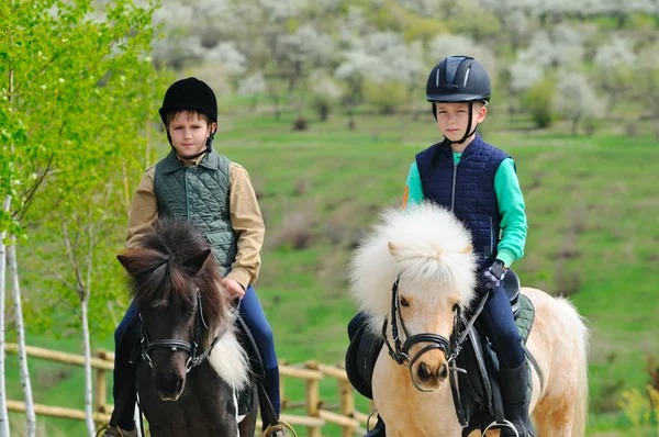 Deux garçons avec poney — Photo
