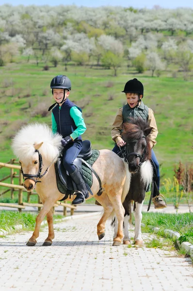 Two boys with pony — Stock Photo, Image