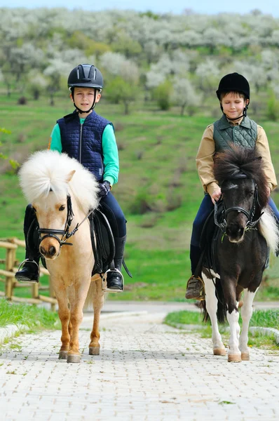 Due ragazzi con pony — Foto Stock