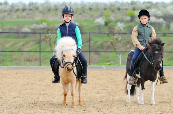 Zwei Jungen mit Pony — Stockfoto