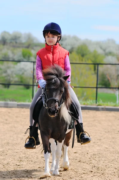 Little girl and pony — Stock Photo, Image