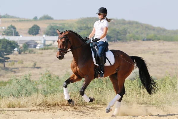 Equitazione: cavaliere a cavallo dressage baia, andare al galoppo Immagini Stock Royalty Free