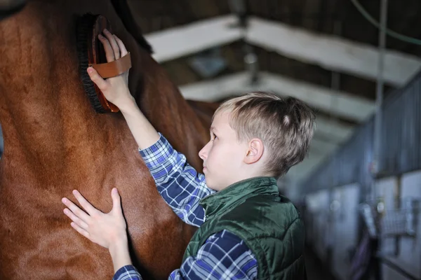 Jonge jongen is het verzorgen van het paard — Stockfoto