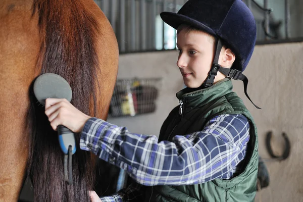 Fiatal fiú van grooming a ló — Stock Fotó