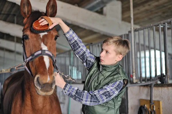 Giovane ragazzo è governare il cavallo — Foto Stock