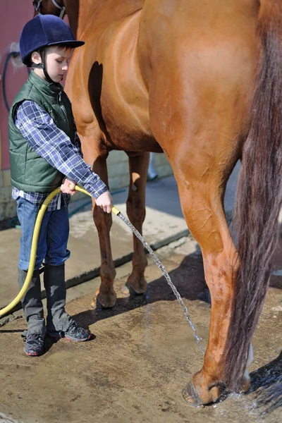 Αγόρι πλύσιμο το άλογό του — Φωτογραφία Αρχείου