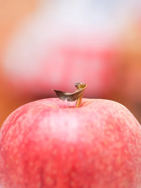 Roter Apfel — Stockfoto