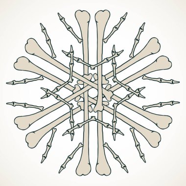 Beyaz zemin üzerinde izole edilmiş bej bej kemiklerden yapılmış vektör kar tanesi.