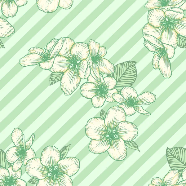 Schöne Nahtlose Florale Hellgrüne Muster Mit Apfelblüten Natur Botanische Vektor — Stockvektor